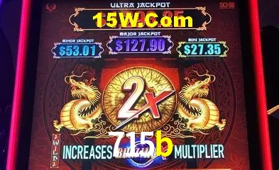 Sistemas de Segurança 715b