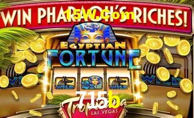 Experiência VIP 715b